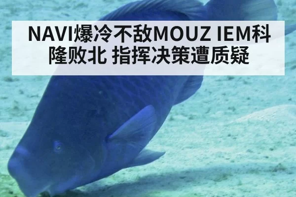 NAVI爆冷不敌MOUZ IEM科隆败北 指挥决策遭质疑